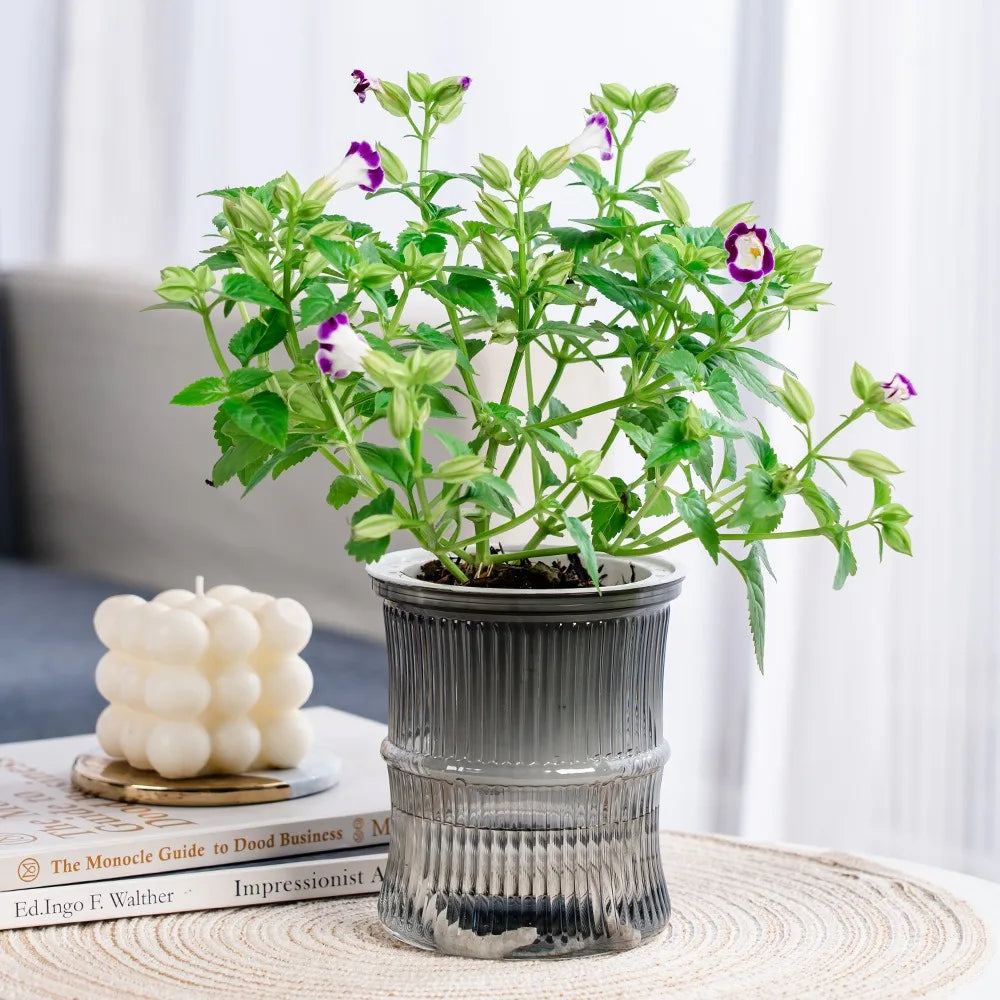 Succulent Hydroponic Plants Pot Self Watering Flowerpot Indoor Mini Planter Pots Tabletop Flower Pot Home Garden Bonsai Decor