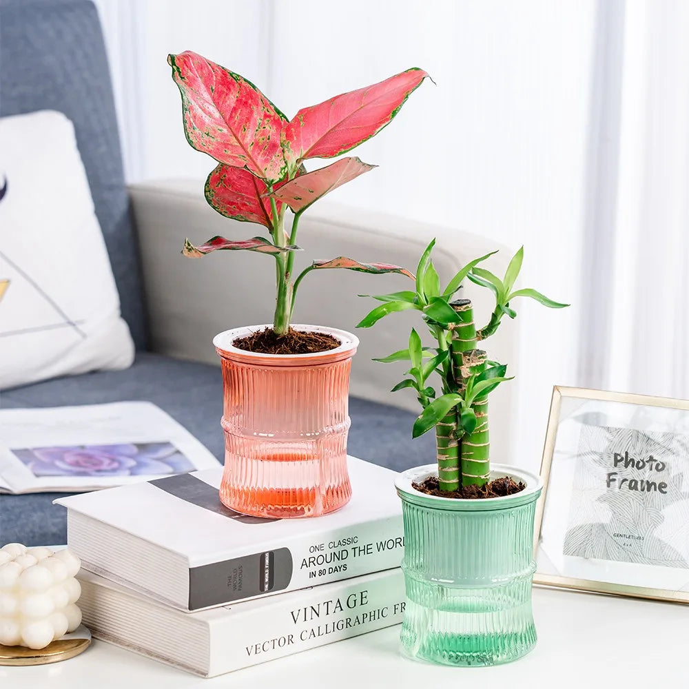 Succulent Hydroponic Plants Pot Self Watering Flowerpot Indoor Mini Planter Pots Tabletop Flower Pot Home Garden Bonsai Decor