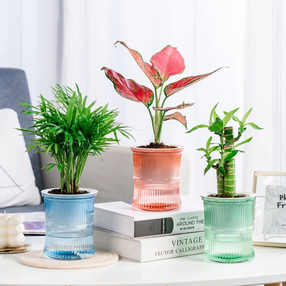Succulent Hydroponic Plants Pot Self Watering Flowerpot Indoor Mini Planter Pots Tabletop Flower Pot Home Garden Bonsai Decor