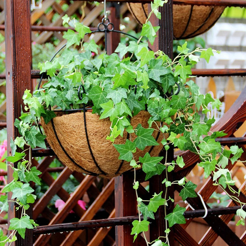 Iron Wall Planter Metal Flower Pots Balcony Hanging Planter Wall Hanging Decor Basket for Home Garden Porch Fence Farmhouse